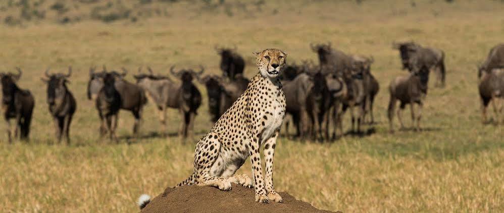 Mahali Mzuri Hotel Maasai Mara Luaran gambar