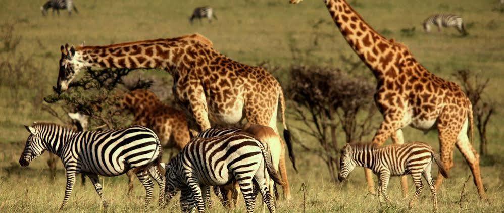 Mahali Mzuri Hotel Maasai Mara Luaran gambar